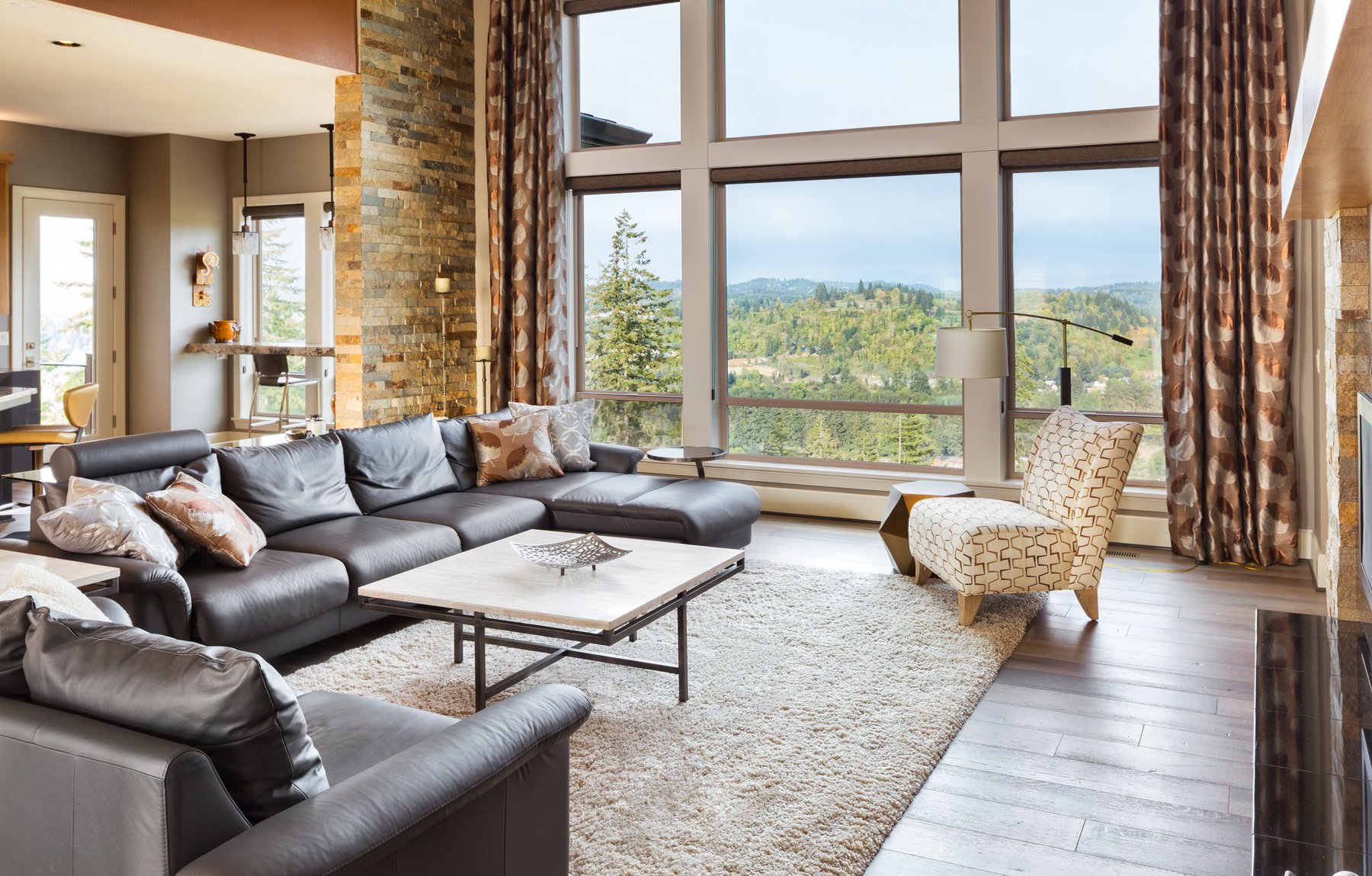 Luxurious Living Room in New Home